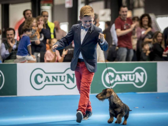 Más de 400 perros compitieron ayer en la XXXI Exposición Nacional Canina de Navarra y en la XXV Internacional que tuvo lugar en recinto ferial Refena