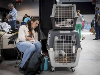 Más de 400 perros compitieron ayer en la XXXI Exposición Nacional Canina de Navarra y en la XXV Internacional que tuvo lugar en recinto ferial Refena