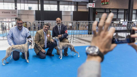 Más de 400 perros compitieron ayer en la XXXI Exposición Nacional Canina de Navarra y en la XXV Internacional que tuvo lugar en recinto ferial Refena