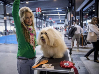 Más de 400 perros compitieron ayer en la XXXI Exposición Nacional Canina de Navarra y en la XXV Internacional que tuvo lugar en recinto ferial Refena