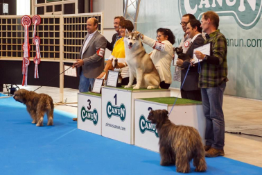 El domingo 10 de septiembre, Refena acogió la XXXI Exposición Nacional Canina de Navarra y la XXV Exposición Internacional Canina de Navarra. Un encuentro con solera para los amantes de estas mascotas que está organizado por la Sociedad Canina de Navarra y que contó con el patrocinio de Piensos Canun.