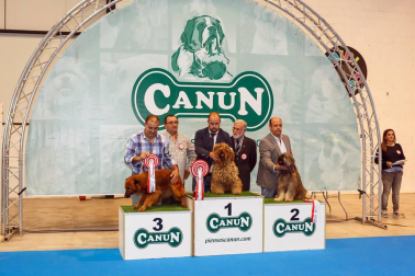 El domingo 10 de septiembre, Refena acogió la XXXI Exposición Nacional Canina de Navarra y la XXV Exposición Internacional Canina de Navarra. Un encuentro con solera para los amantes de estas mascotas que está organizado por la Sociedad Canina de Navarra y que contó con el patrocinio de Piensos Canun.