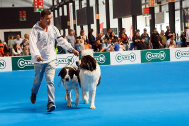 El domingo 10 de septiembre, Refena acogió la XXXI Exposición Nacional Canina de Navarra y la XXV Exposición Internacional Canina de Navarra. Un encuentro con solera para los amantes de estas mascotas que está organizado por la Sociedad Canina de Navarra y que contó con el patrocinio de Piensos Canun.