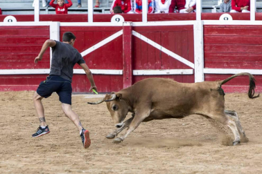 Imágenes del cuarto día de fiestas de Sangüesa 2017.