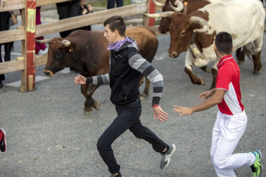 Imágenes del cuarto día de fiestas de Sangüesa 2017.
