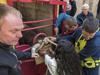 Cruz Roja realizó 18 atenciones, ocho por la mañana y otras 10 por la tarde, aunque ninguna revistió gravedad