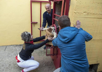 Cruz Roja realizó 18 atenciones, ocho por la mañana y otras 10 por la tarde, aunque ninguna revistió gravedad