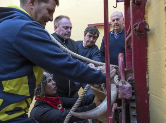 Cruz Roja realizó 18 atenciones, ocho por la mañana y otras 10 por la tarde, aunque ninguna revistió gravedad