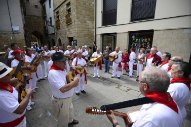 Fotos del día de la música en las fiestas de Olite
