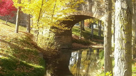 El otoño, retratado por los lectores de Diariodenavarra.es.
