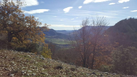 El otoño, retratado por los lectores de Diariodenavarra.es.