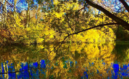 El otoño, retratado por los lectores de Diariodenavarra.es.