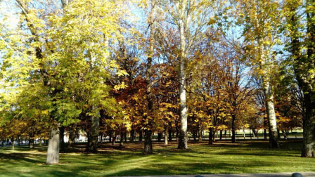 El otoño, retratado por los lectores de Diariodenavarra.es.