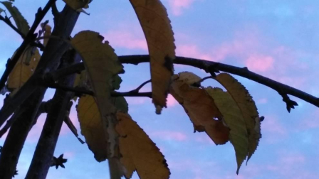 El otoño, retratado por los lectores de Diariodenavarra.es.