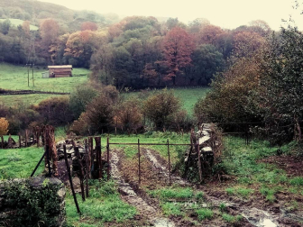 El otoño, retratado por los lectores de Diariodenavarra.es.