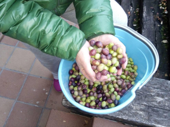 El otoño, retratado por los lectores de Diariodenavarra.es.