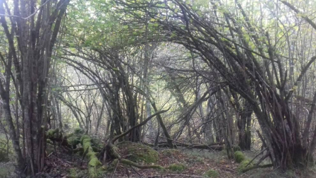 El otoño, retratado por los lectores de Diariodenavarra.es.