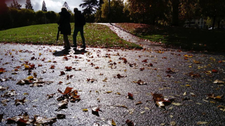 El otoño, retratado por los lectores de Diariodenavarra.es.