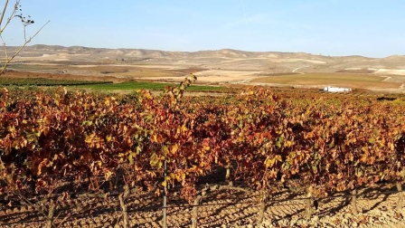 El otoño, retratado por los lectores de Diariodenavarra.es.