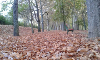 El otoño, retratado por los lectores de Diariodenavarra.es.