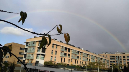 El otoño, retratado por los lectores de Diariodenavarra.es.
