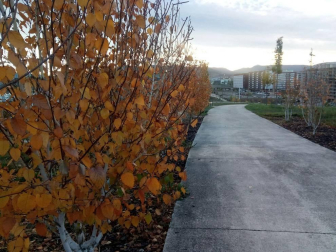 El otoño, retratado por los lectores de Diariodenavarra.es.
