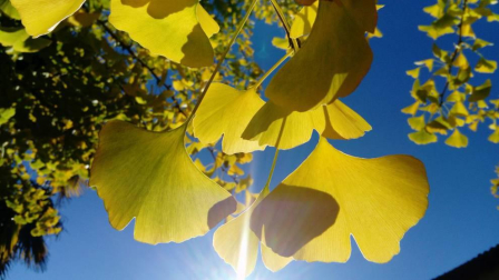 El otoño, retratado por los lectores de Diariodenavarra.es.
