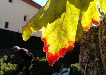 El otoño, retratado por los lectores de Diariodenavarra.es.
