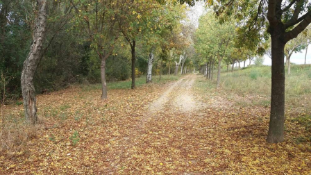El otoño, retratado por los lectores de Diariodenavarra.es.