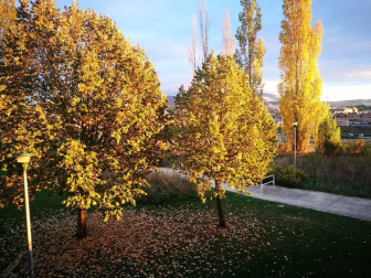 El otoño, retratado por los lectores de Diariodenavarra.es.