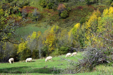 El otoño, retratado por los lectores de Diariodenavarra.es.