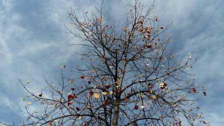 El otoño, retratado por los lectores de Diariodenavarra.es.