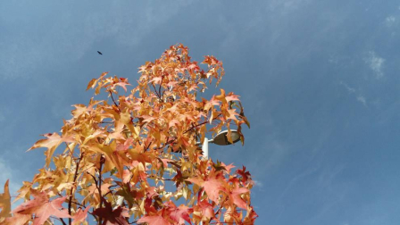 El otoño, retratado por los lectores de Diariodenavarra.es.