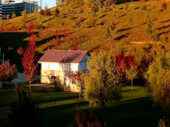 El otoño, retratado por los lectores de Diariodenavarra.es.