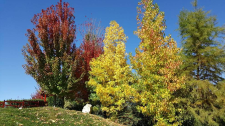 El otoño, retratado por los lectores de Diariodenavarra.es.