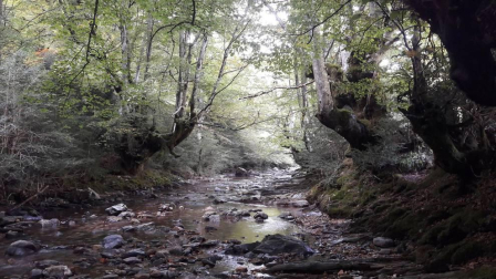 El otoño, retratado por los lectores de Diariodenavarra.es.