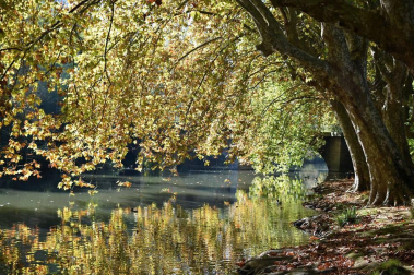 El otoño, retratado por los lectores de Diariodenavarra.es.