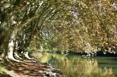 El otoño, retratado por los lectores de Diariodenavarra.es.