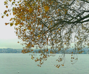 El otoño, retratado por los lectores de Diariodenavarra.es.