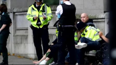 Varios heridos en un atropello junto al Museo de Historia Natural de Londres