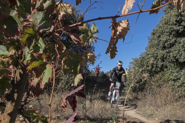 Disputa de la prueba celebrada el sábado 7 de octubre de 2017