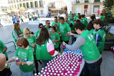 La II Marcha Contra el Cáncer de Tudela alcanza los 3.500 inscritos