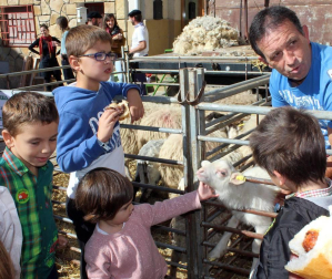 Galería de imágenes del día del pastor en Améscoa