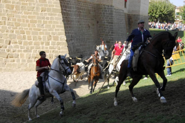 Día del caballo en las Ferias de Marcilla