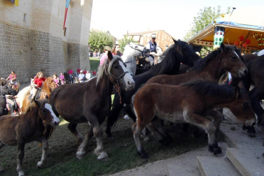 Día del caballo en las Ferias de Marcilla