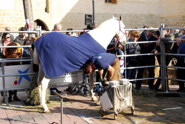 Día del caballo en las Ferias de Marcilla