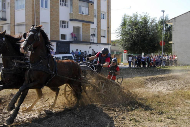 Día del caballo en las Ferias de Marcilla