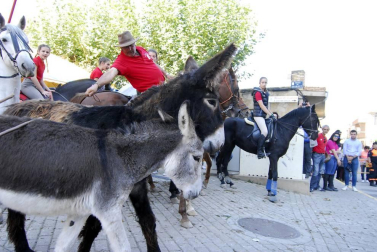 Día del caballo en las Ferias de Marcilla