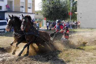 Día del caballo en las Ferias de Marcilla