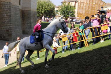 Día del caballo en las Ferias de Marcilla